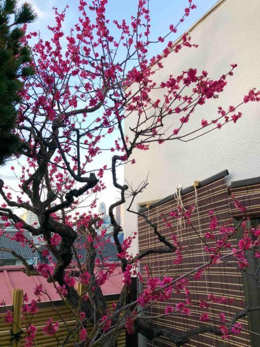 新宿新大久保駅日本和の宿 Tokyo Dış mekan fotoğraf